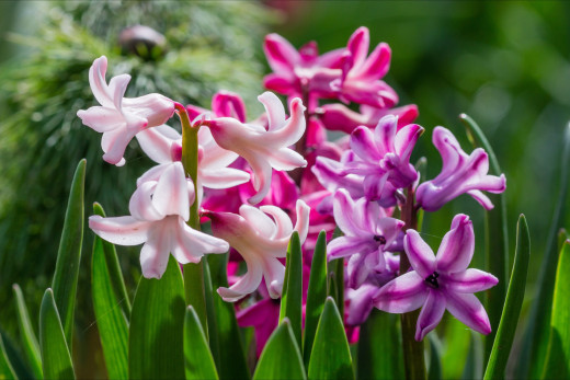 855044 (a): :2400x1600